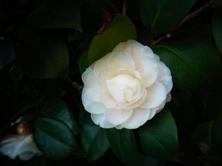 R0010335