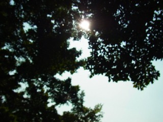 R0010418