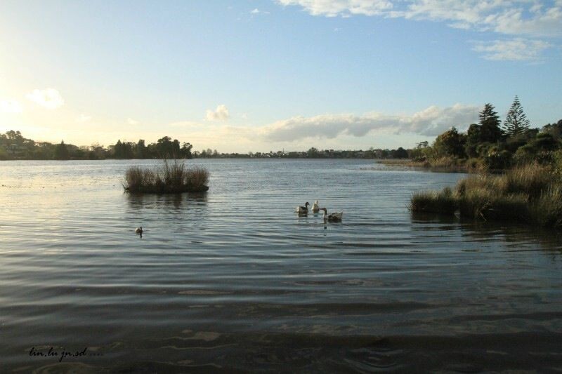 Hamilton Lake Rotoroa (New Zealand)