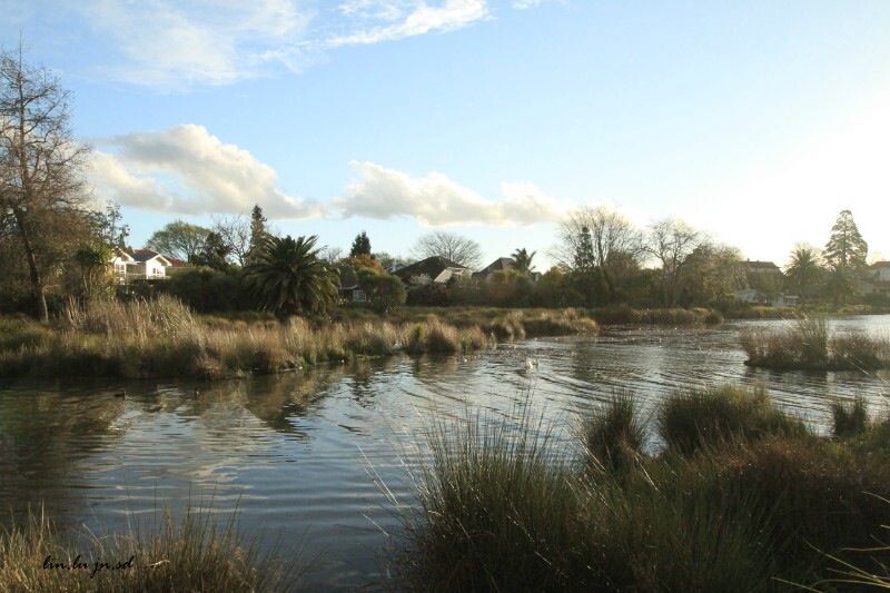 Hamilton Lake Rotoroa (New Zealand)