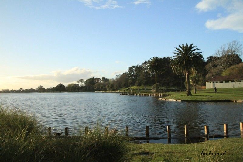 Hamilton Lake Rotoroa (New Zealand)