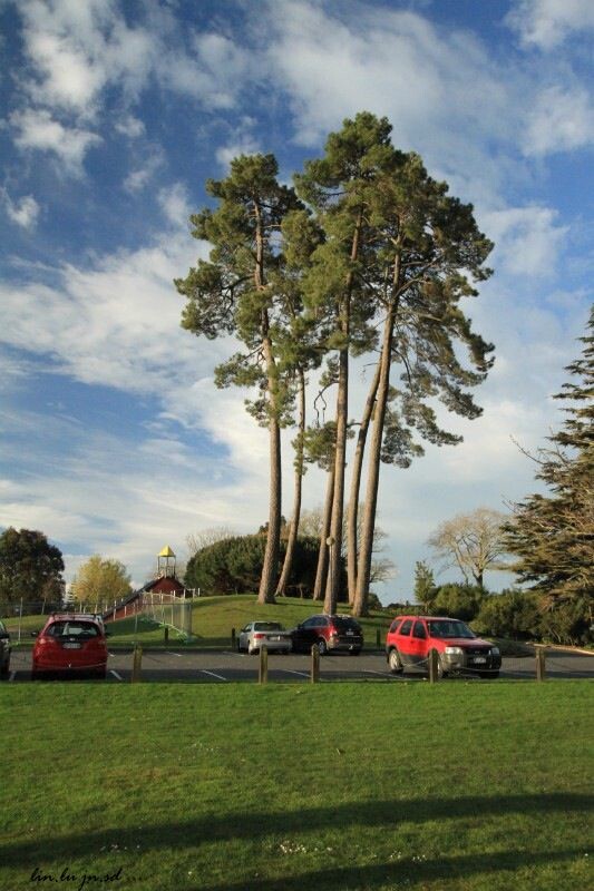 Hamilton (New Zealand)