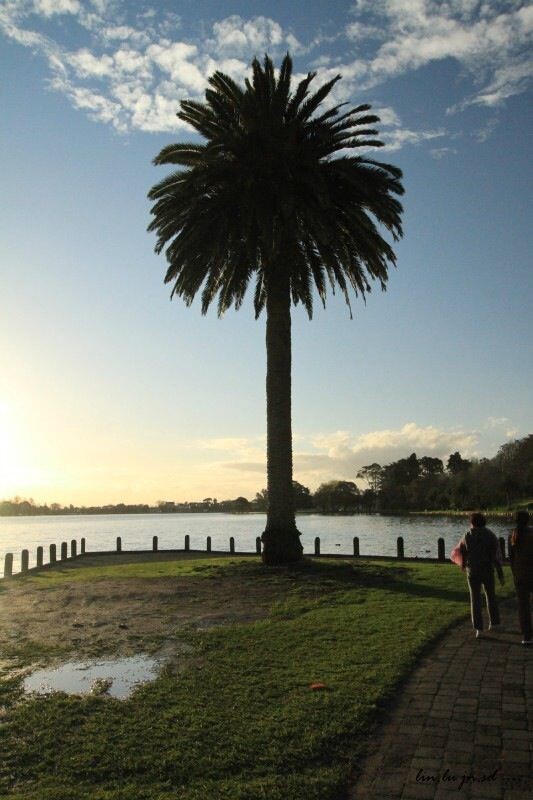 Hamilton Lake Rotoroa (New Zealand)
