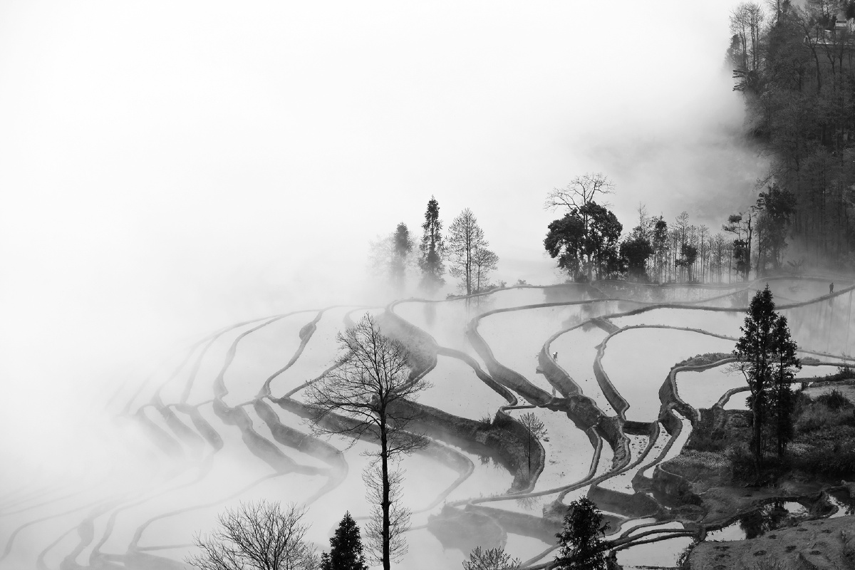水墨梯田