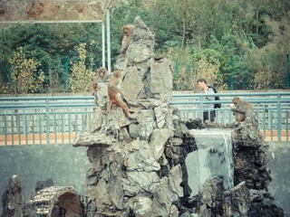 DSC00478.jpg