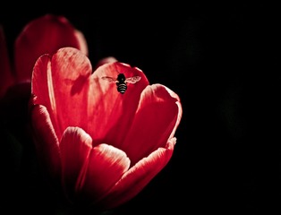 IMG_1687.jpg