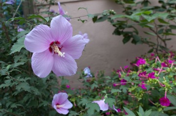 N24G_DSC9077.jpg