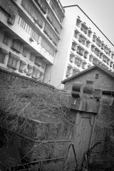 N1_DSC06373－春节－冷水江－荒冢
