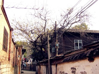DSCF2963_