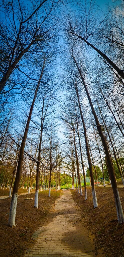 f/3.5，ISO 100，1/200s，10mm，Nikon D7000,3张拼接