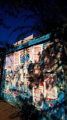WP_000453