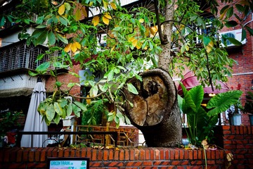 DSC00554.jpg