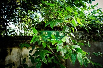DSC00563.jpg