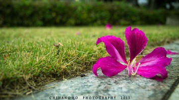 DSC02652-1水印