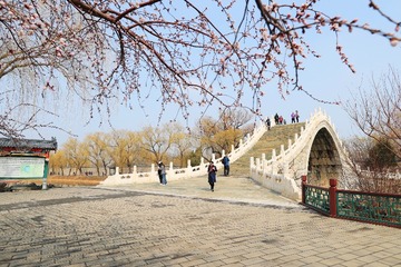 @5th Av. f@cking Xuan