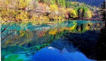 IMG_0888j