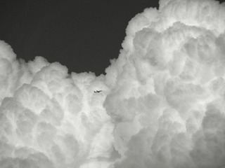 9071D6F3-649D-4EEC-AD00-2F889809B1BE/L0/001