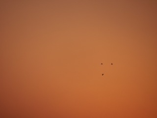 35CB2F0B-79D7-4944-9615-8B14824C7169/L0/001