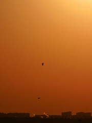 5674DC79-0049-4EE5-92A6-AD9DD0E48AC8/L0/001