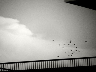 96FE78B7-7C09-42D2-8A63-9C979EB43C76/L0/001