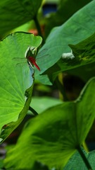 001