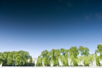 _A240022.jpg
