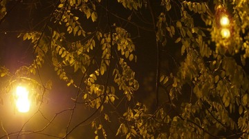 _B190077_副本.jpg