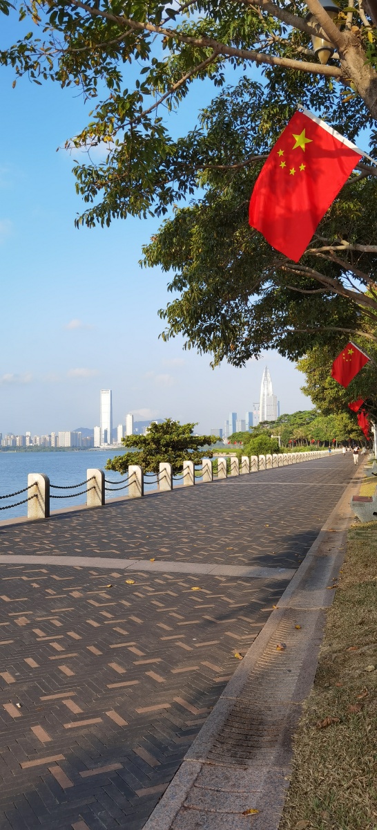 飘扬在深圳湾公园的国旗 - pan_潘 - 图虫