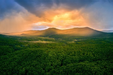 DJI_0566