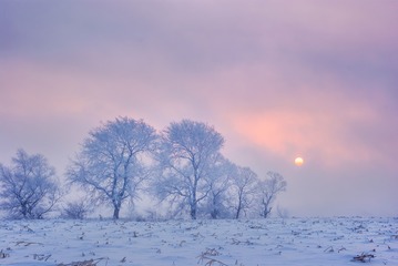 IMGP2023a