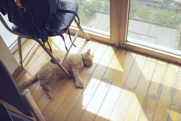 20130805-20130805-DSC00133.jpg