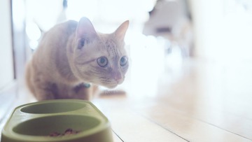20130805-DSC00191.jpg