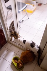 20130806-DSC00256-3.jpg