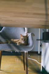 20130806-DSC00284.jpg