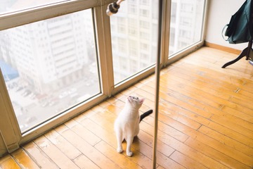 20130806-DSC00287.jpg