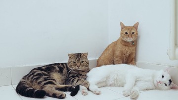 20130812-DSC00396.jpg
