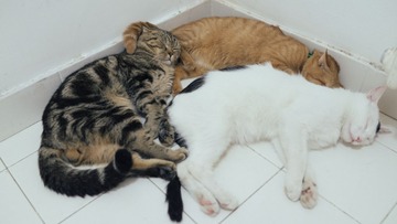 20130812-DSC00402.jpg
