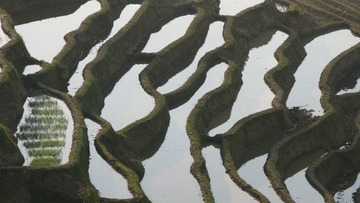 沟壑