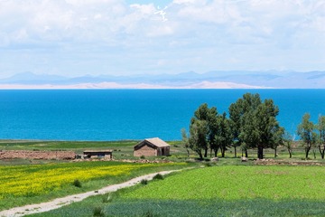 青海湖