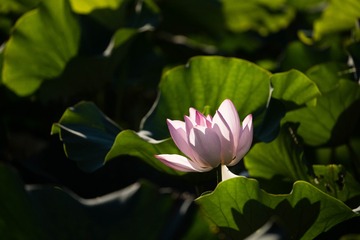 001