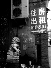 R0016039