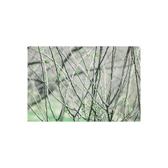 DPP_0035