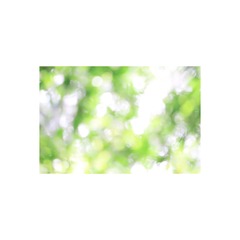 DPP_0041