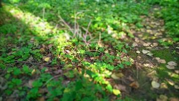 WP_20140928_17_52_20_Pro (2)