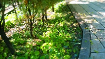 WP_20140915_12_20_10_Pro (2)