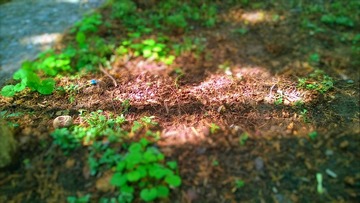 WP_20140924_12_24_23_Pro (2)