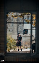 2560519