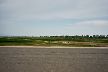 _DSC4508