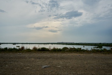 _DSC4515