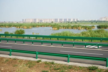 _DSC4495